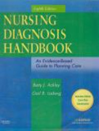 Image of Nursing Diagnosis Handbooks : An Evidence-Based Guide to Panning Care