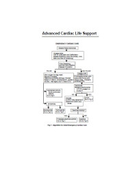 Image of Advanced Cardiac Life Support