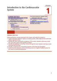 Image of Cardiovascular Physiology Concepts